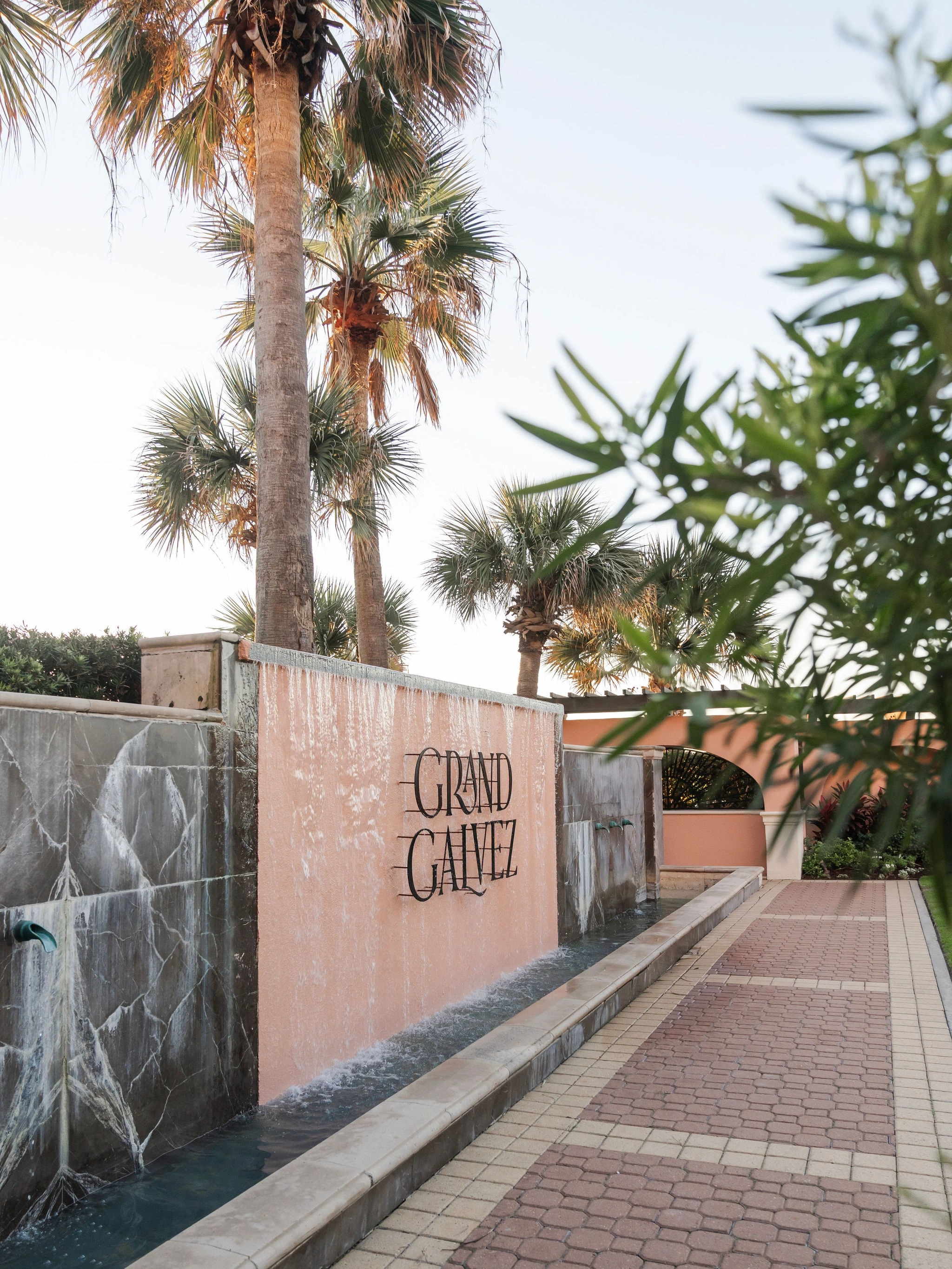 Oleander Garden